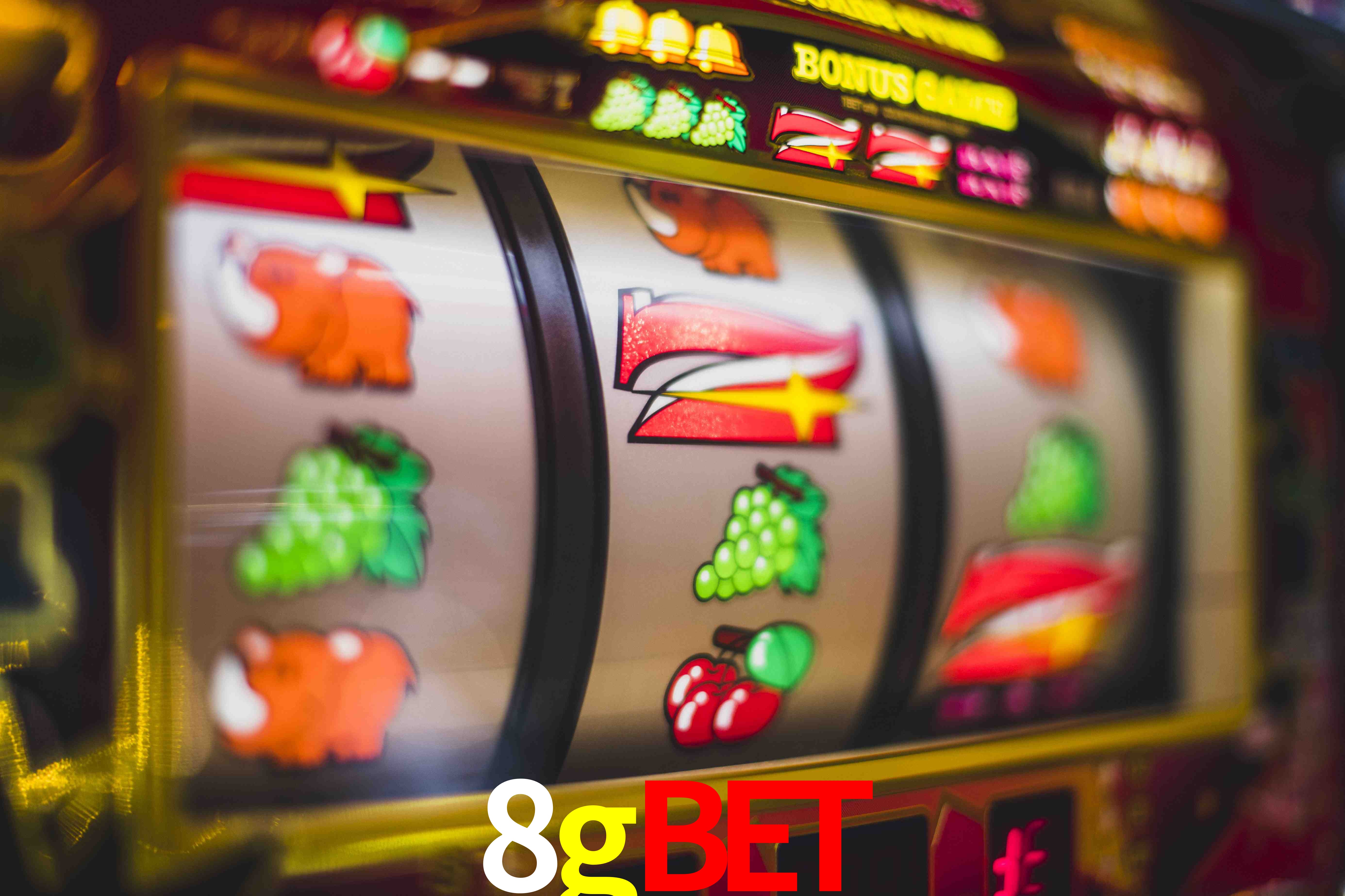 Sports Statistics 8gbet